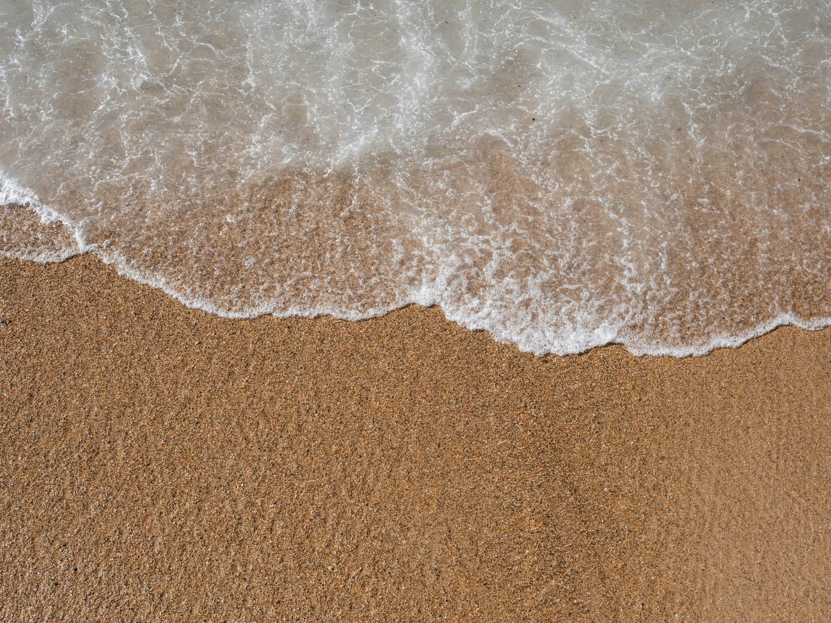 O corpo como litoral: psicanálise e&nbsp;psicossomática